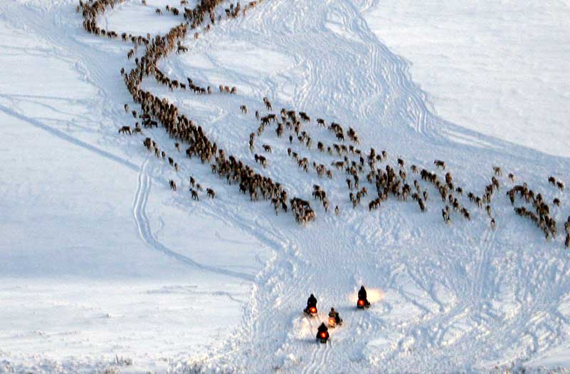 Rostujávri - Pimpelfiske och handredskapsfiske