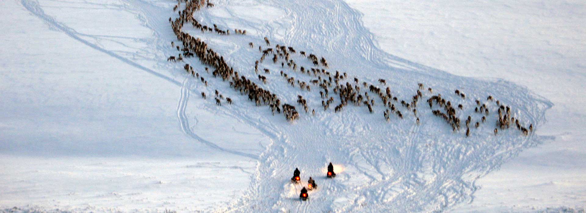 Rennäringen Rostujávri - Pimpelfiske och handredskapsfiske